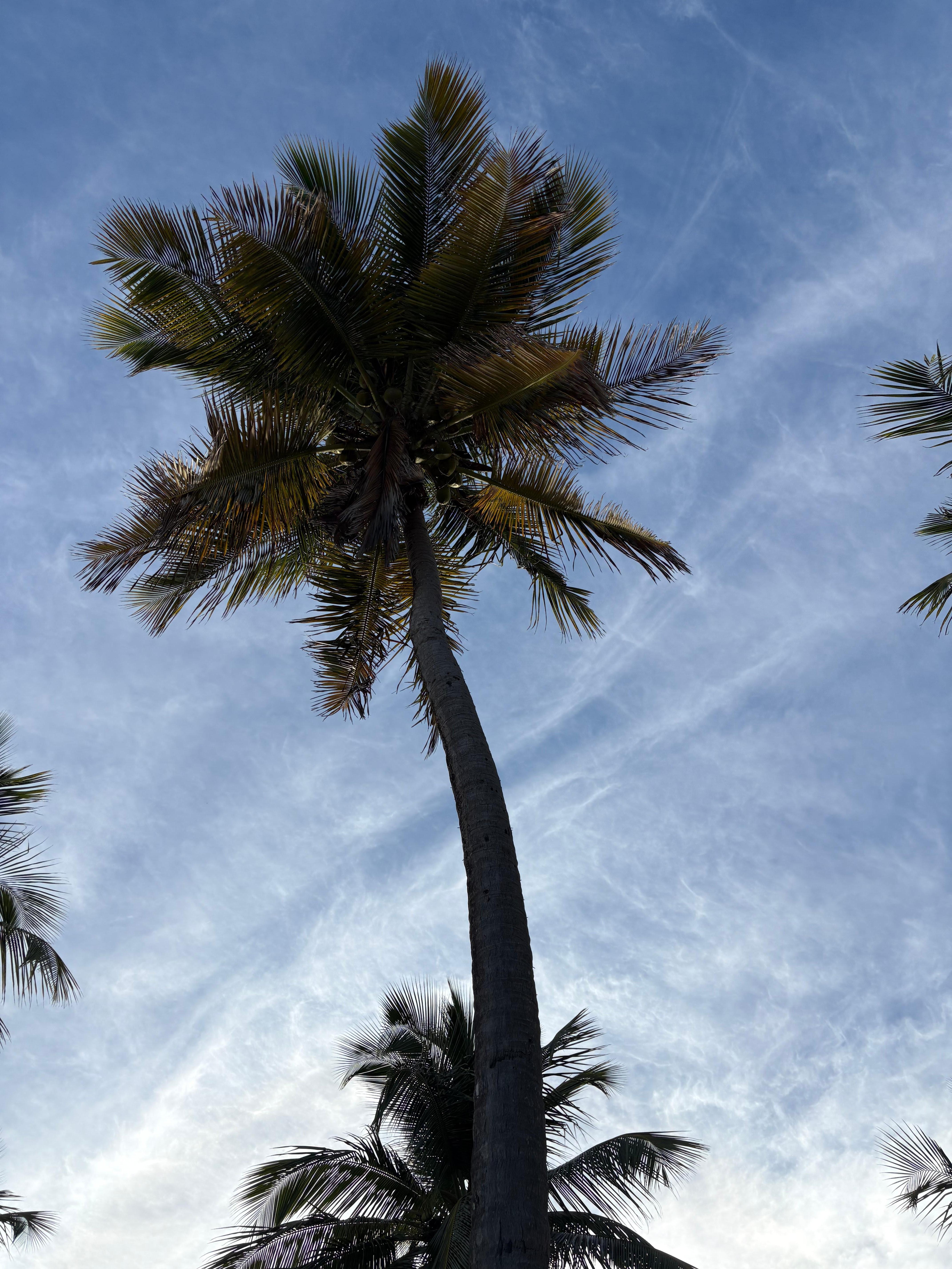 Little slice of paradise b