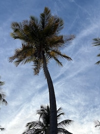 Little slice of paradise b