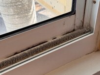 Mold in window