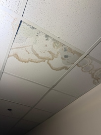 Moldy hallway