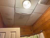 Downstairs ceilings