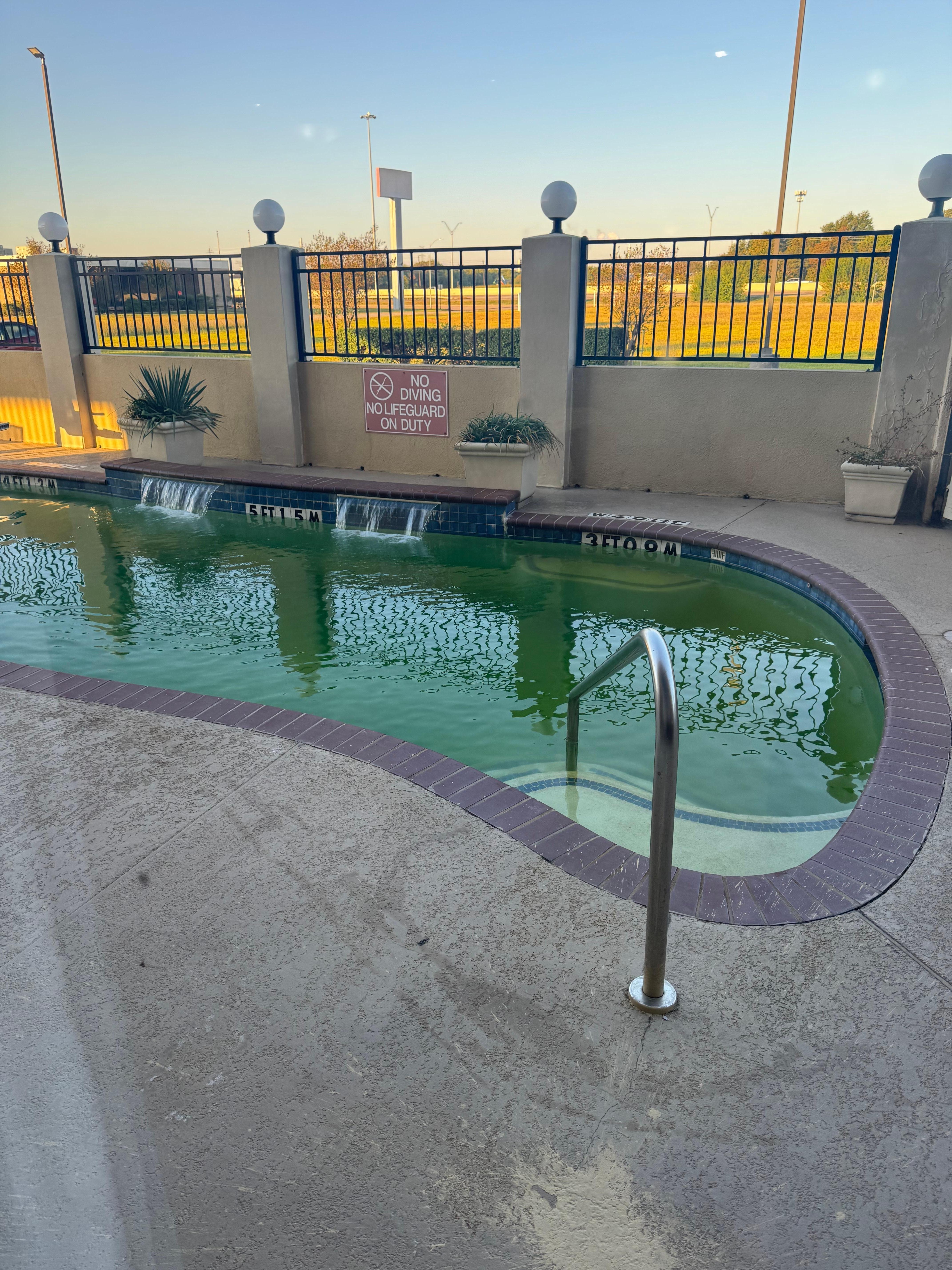 Open pool that was dirty and green. 