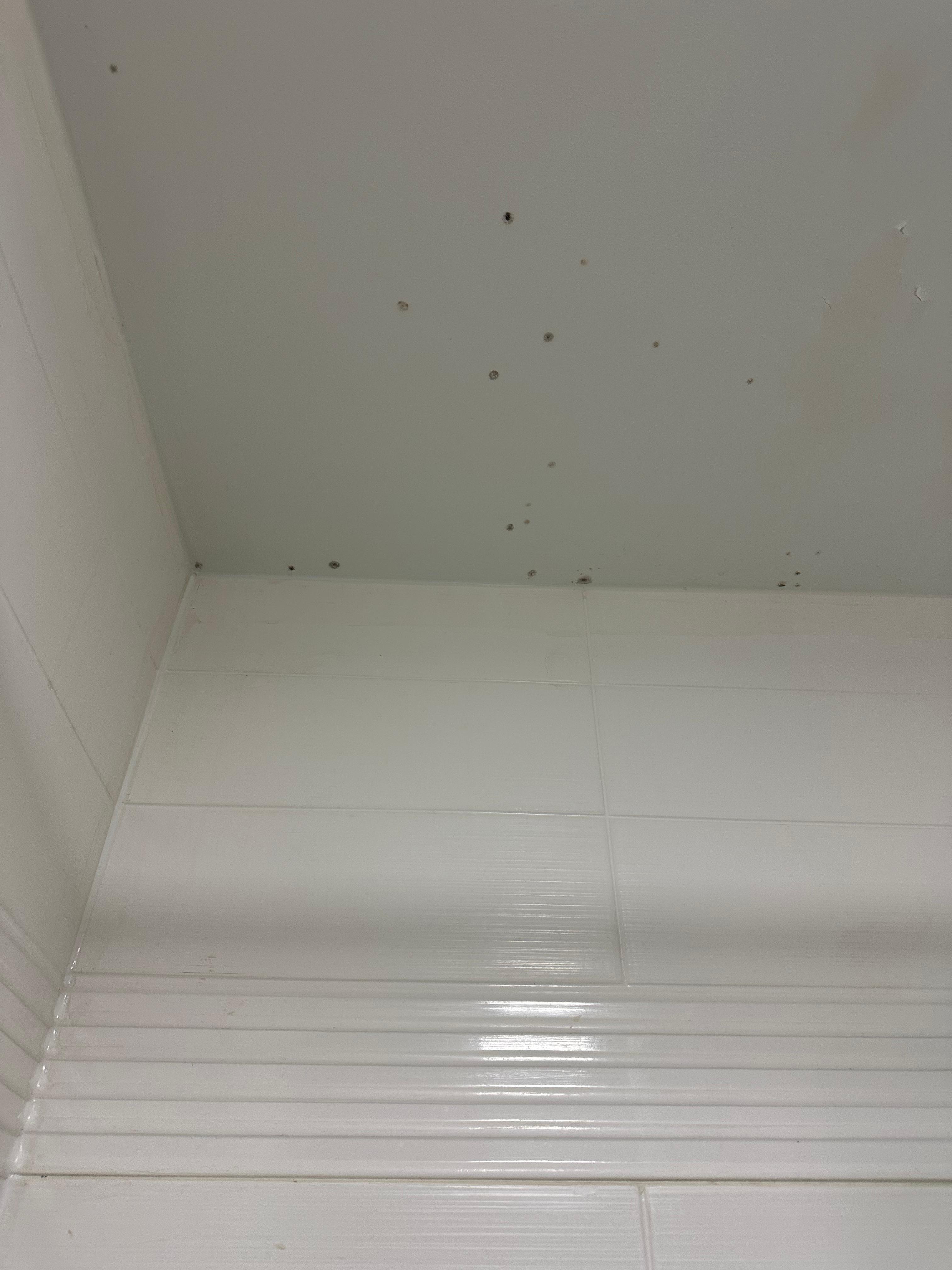 Mold in the bathroom