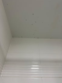 Mold in the bathroom