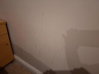 Stains all over bedroom wall