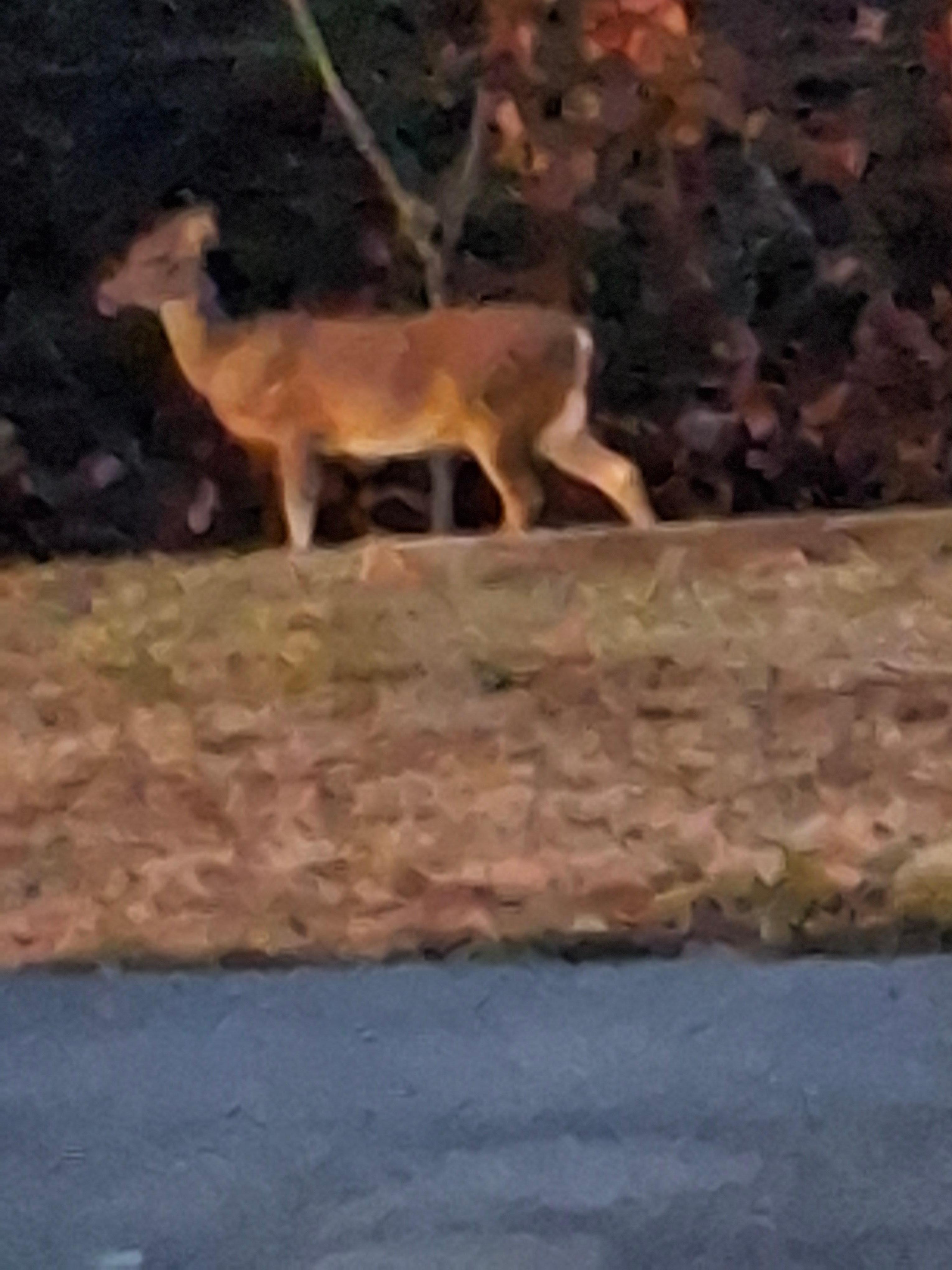 Was in the common area behind building