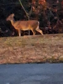 Was in the common area behind building