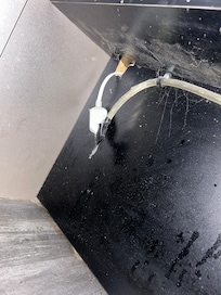 Spider webs and dust