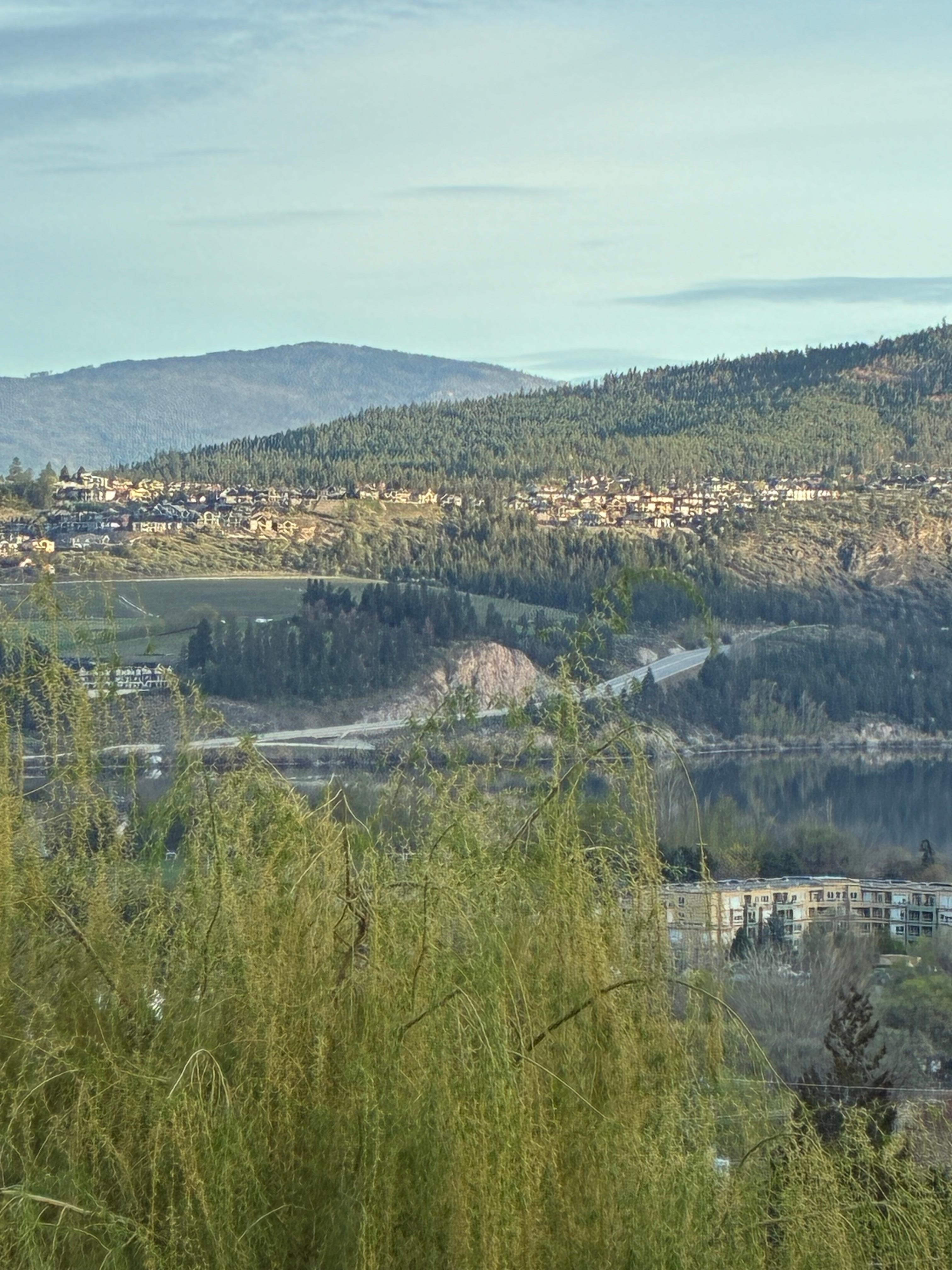 Photos taken off the deck. 