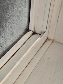 Mold on the windowsill