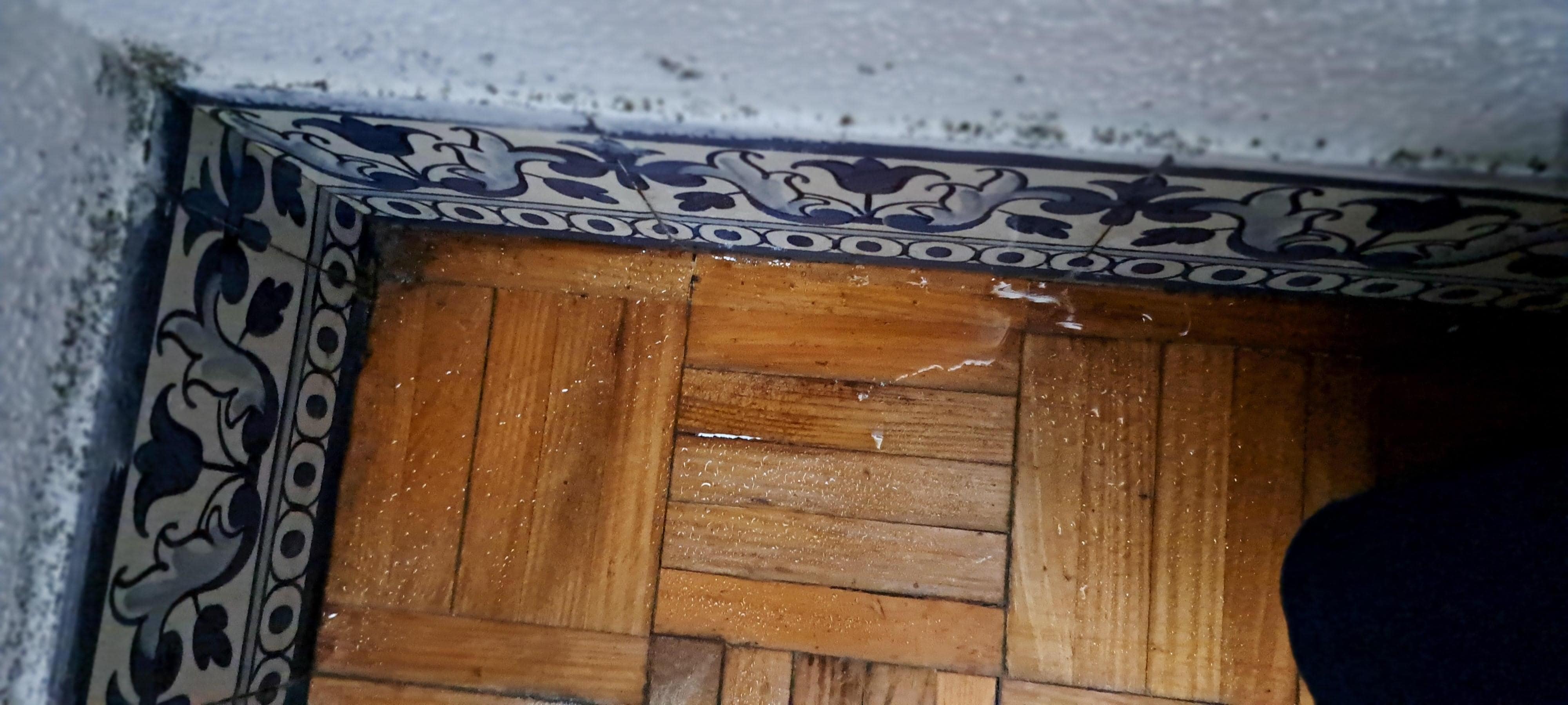 Mold and standing water on floor of bedroom