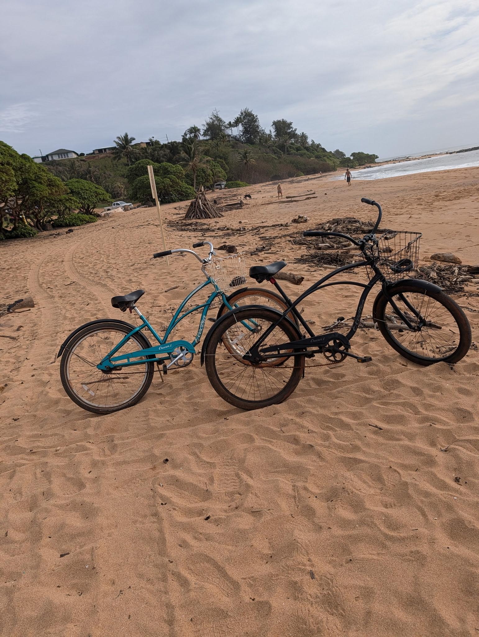 Bicycle rentals just down the street