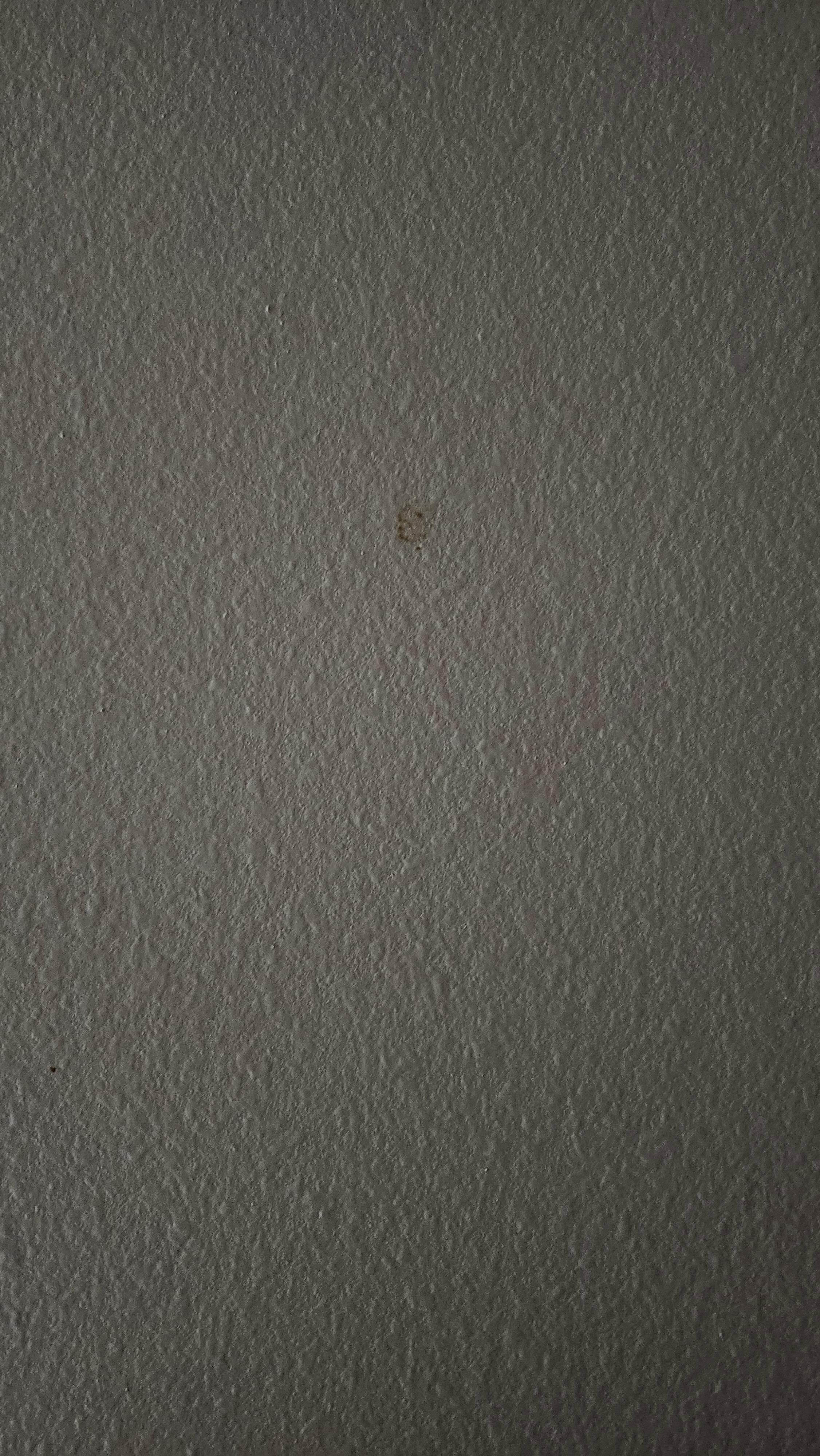 Puke on wall