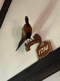 Pheasant watching over us in the master bedroom. Scared our dog a bit.