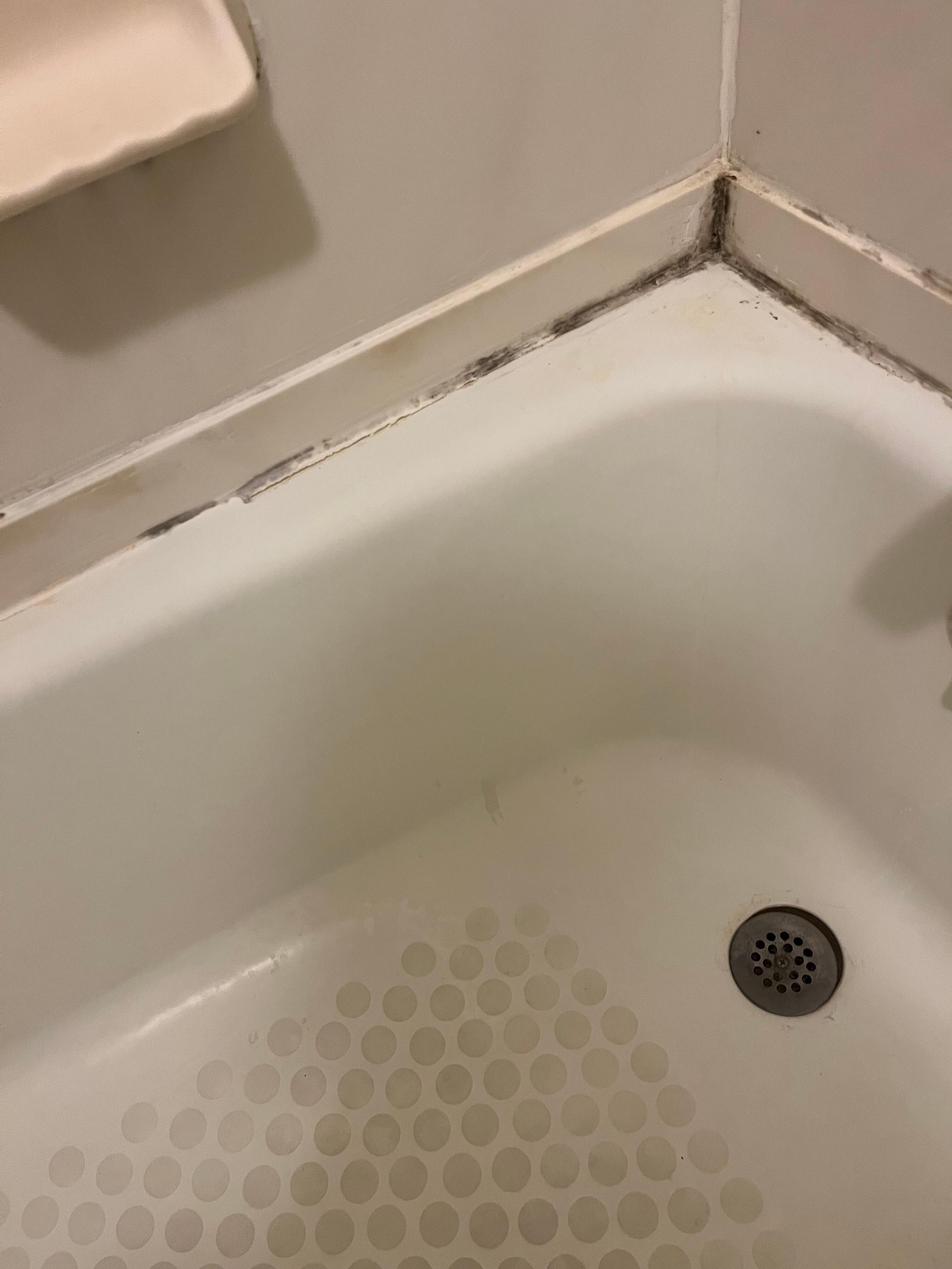 Mold and dirt along tub grout lines