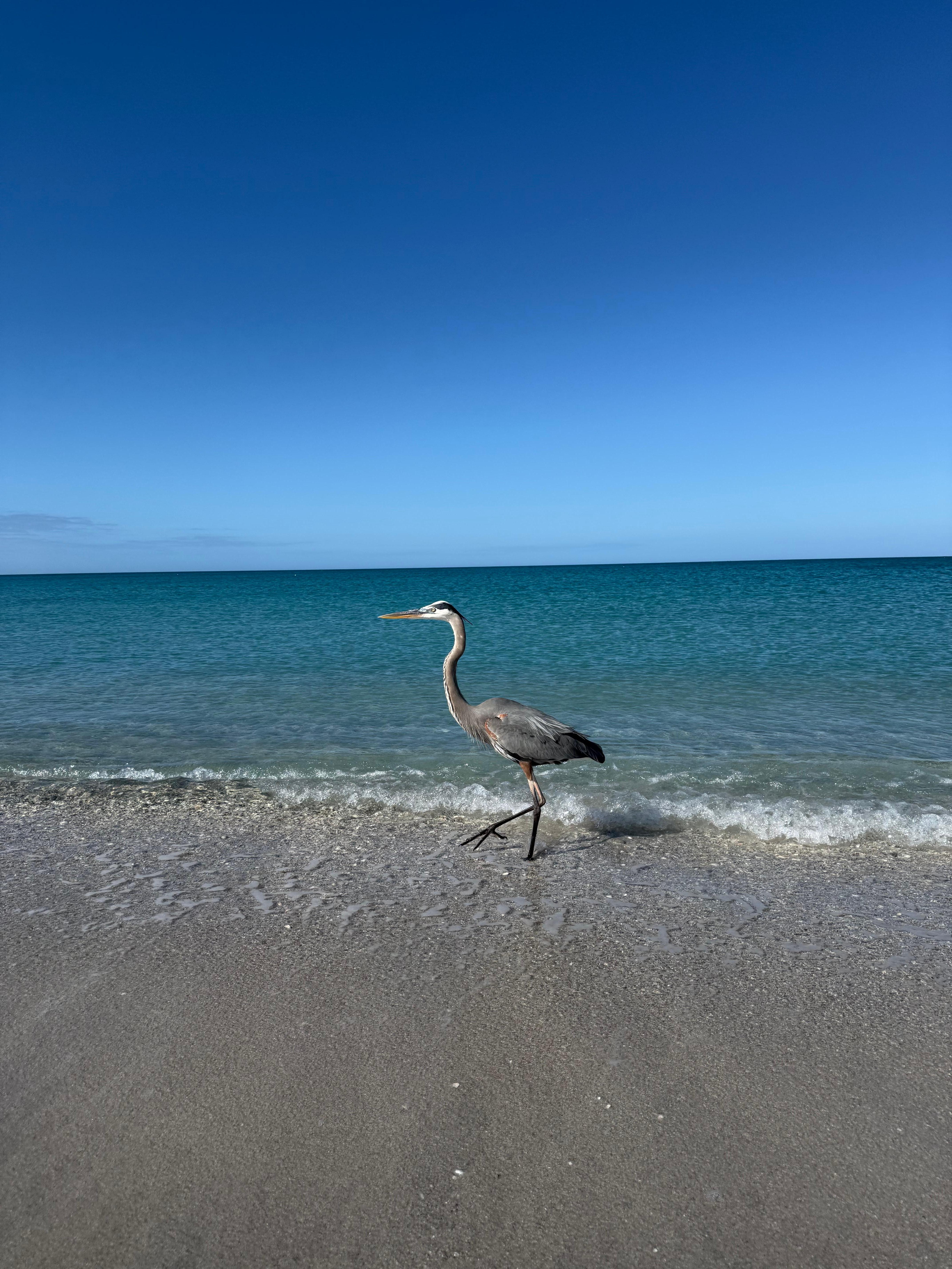 Beautiful wild life everywhere. 