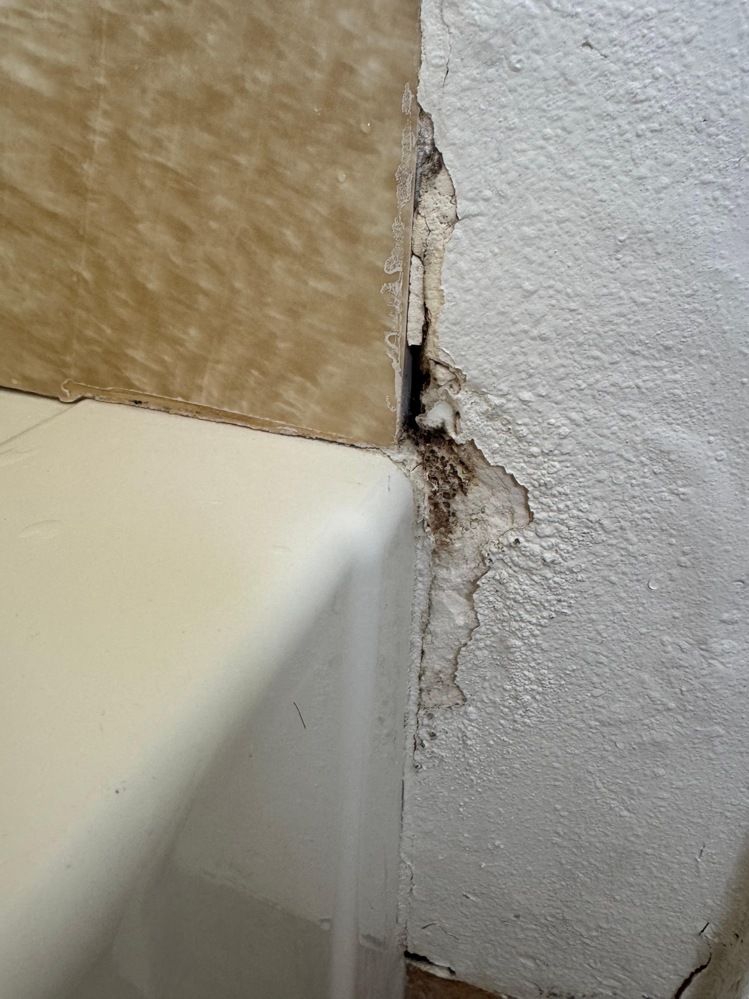 Broken moldy wall