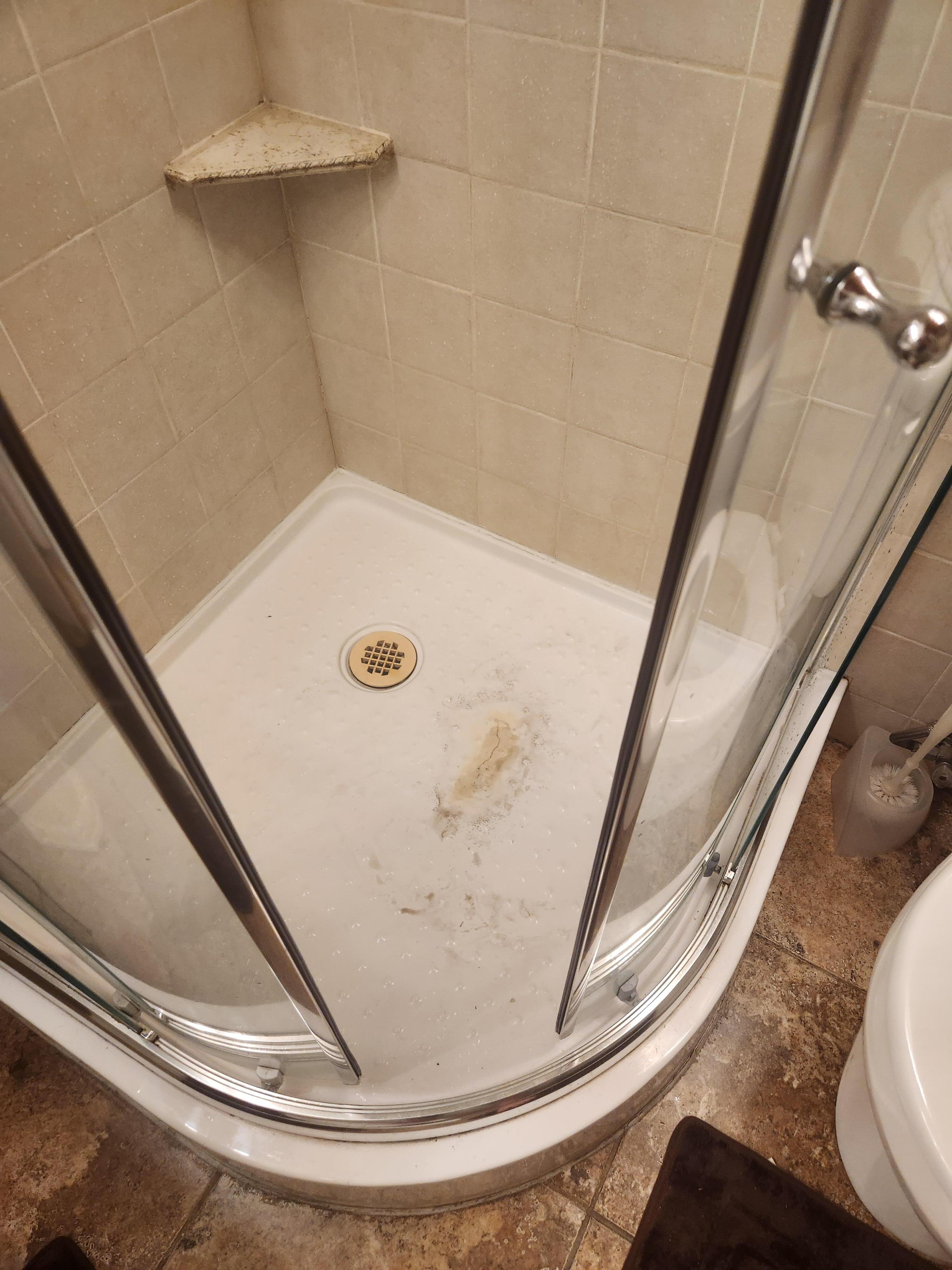 Cracked/dirty shower liner, broken door