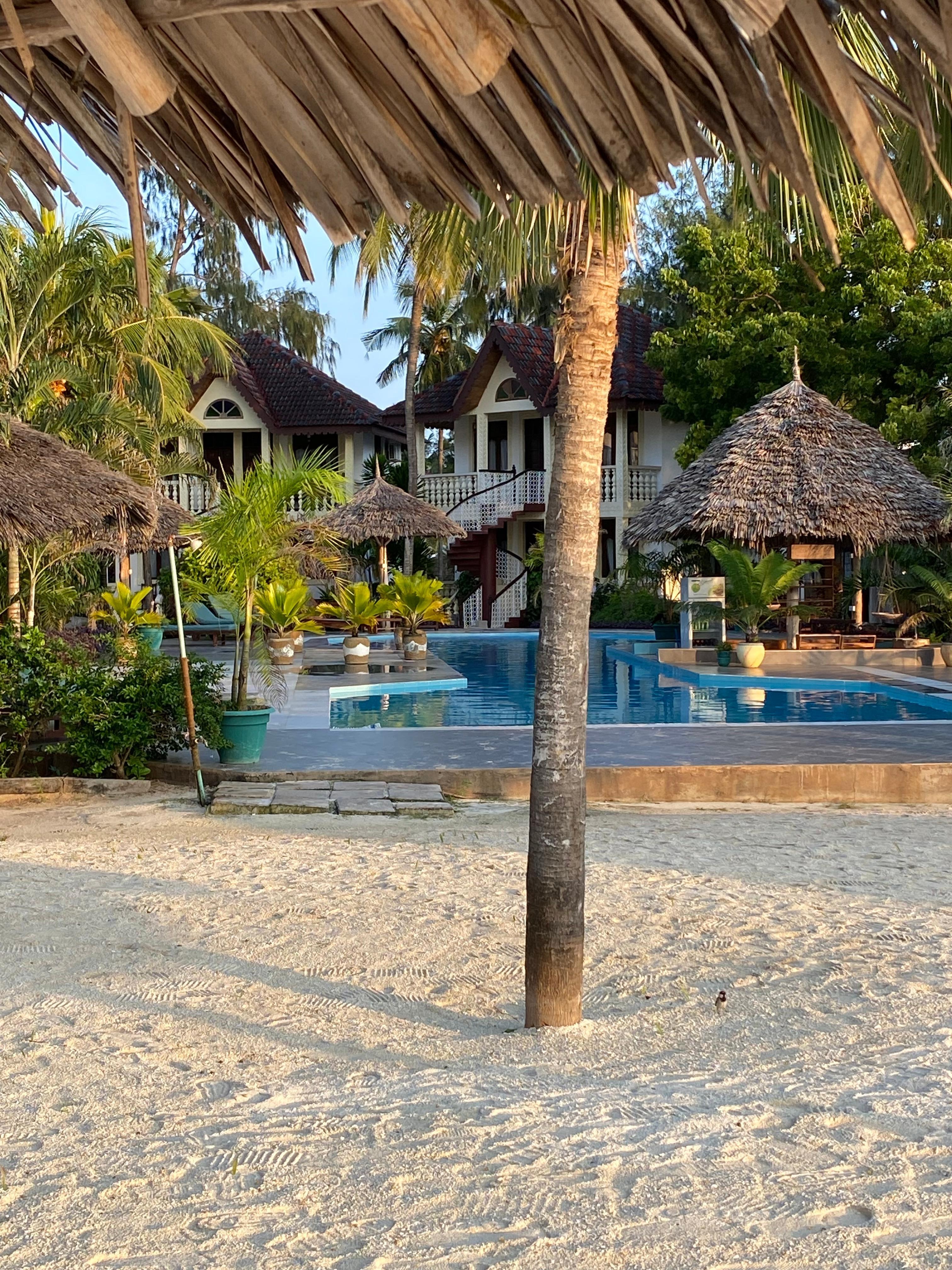 View from the beach towards the hotel. 5 small houses.