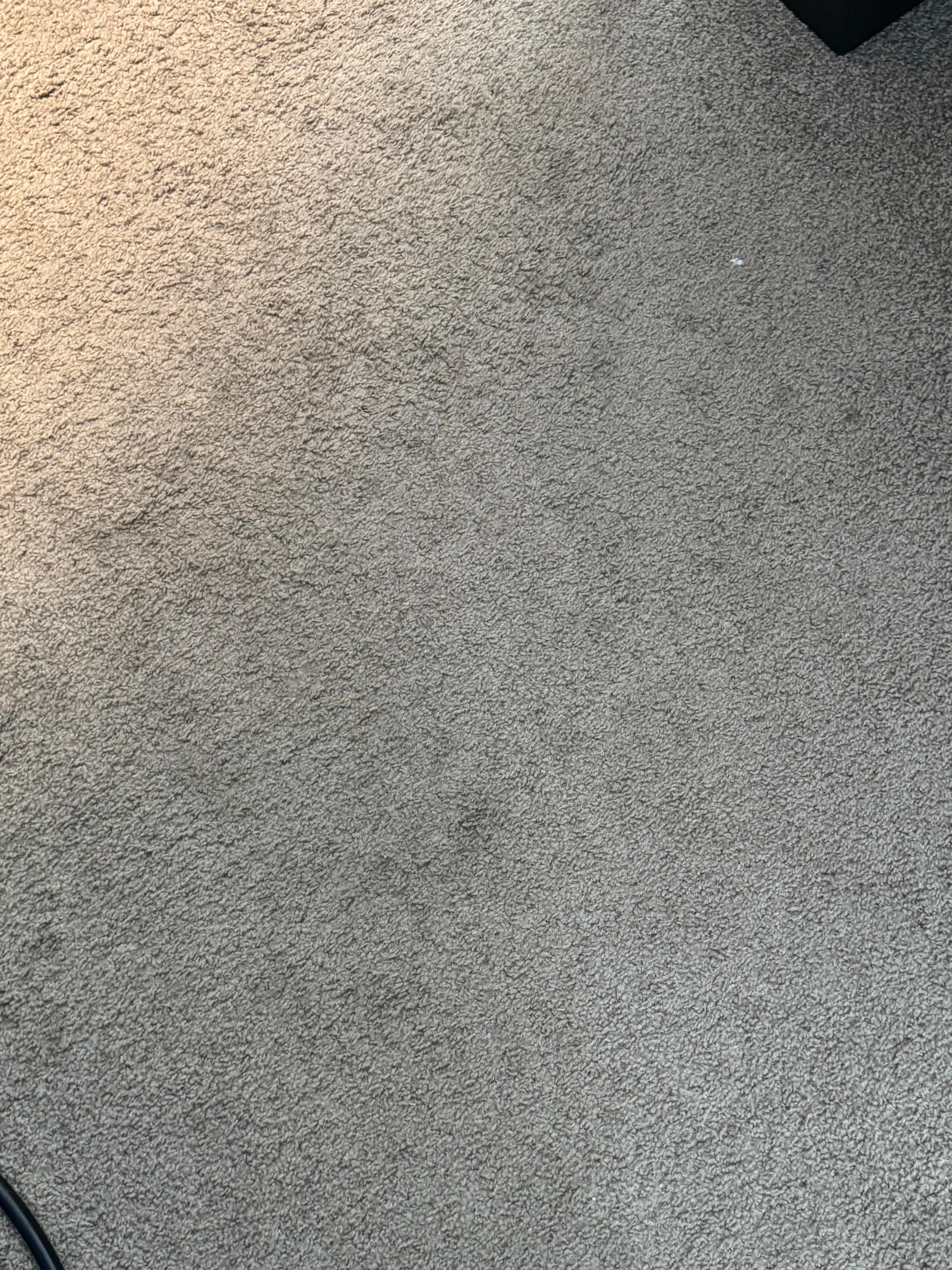 Stains in carpet