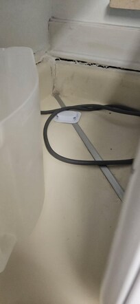 Here are roaches in the bathtub.