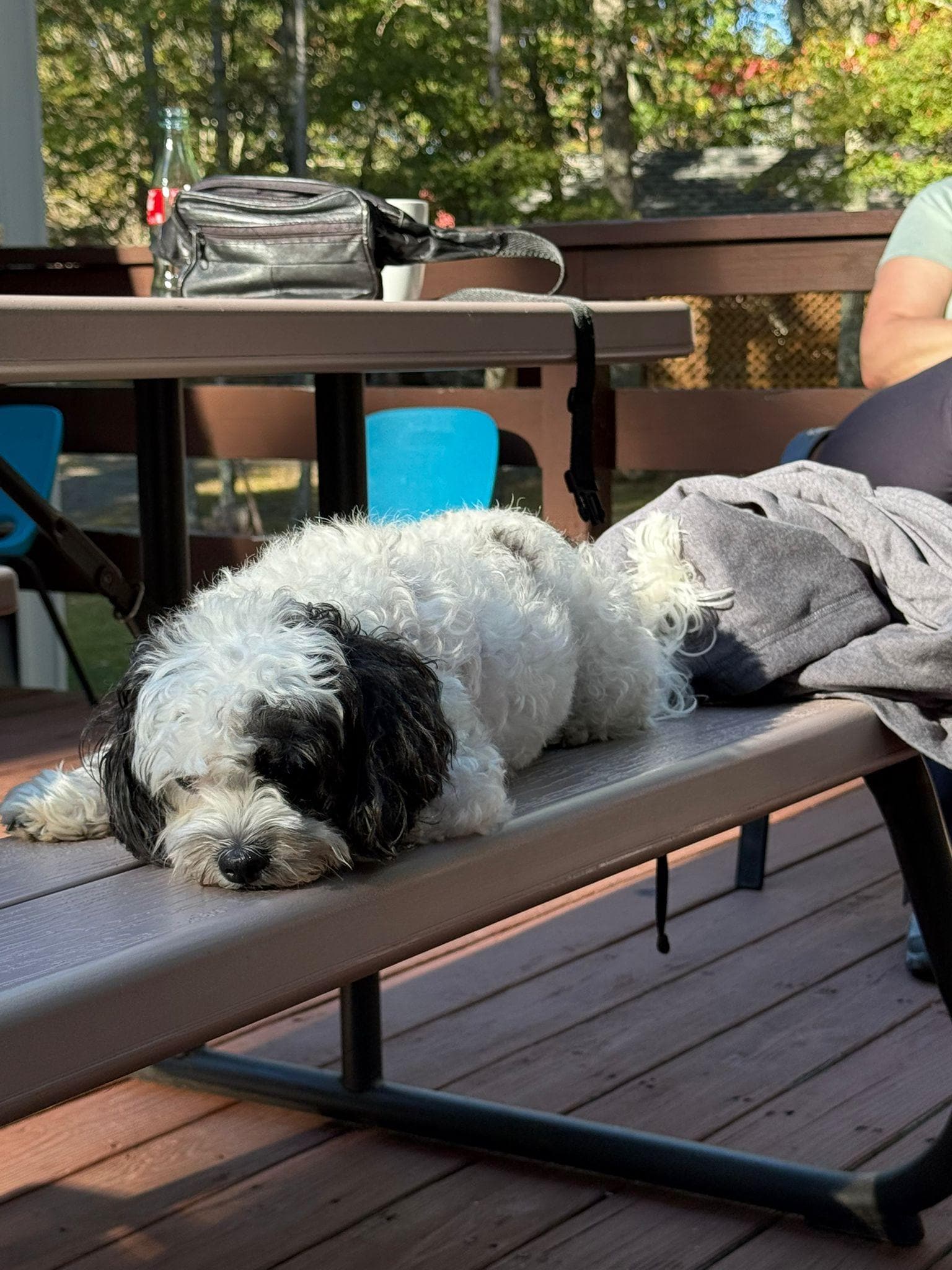 Relaxing on the back deck
