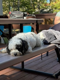 Relaxing on the back deck