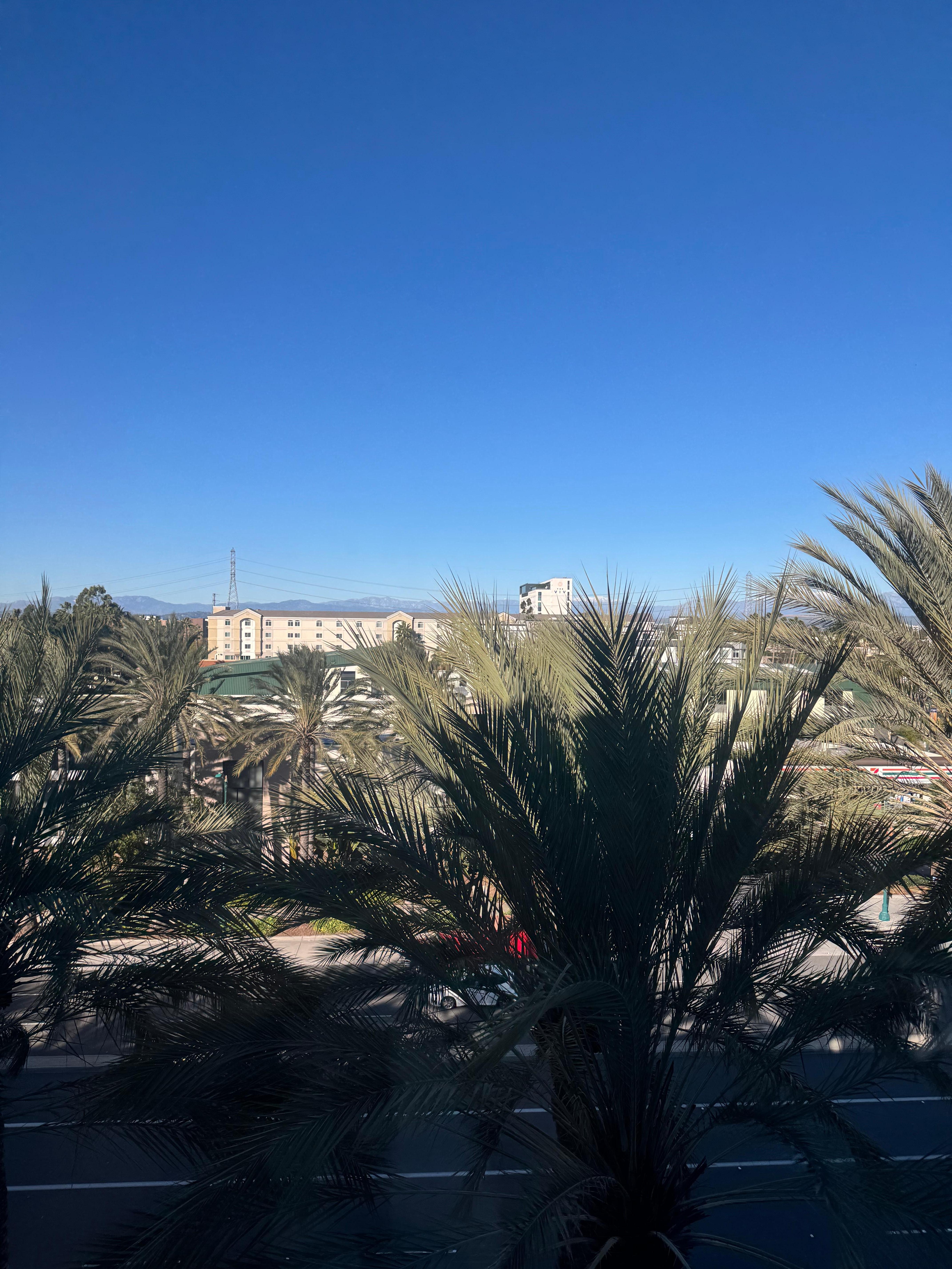 部屋からの景色