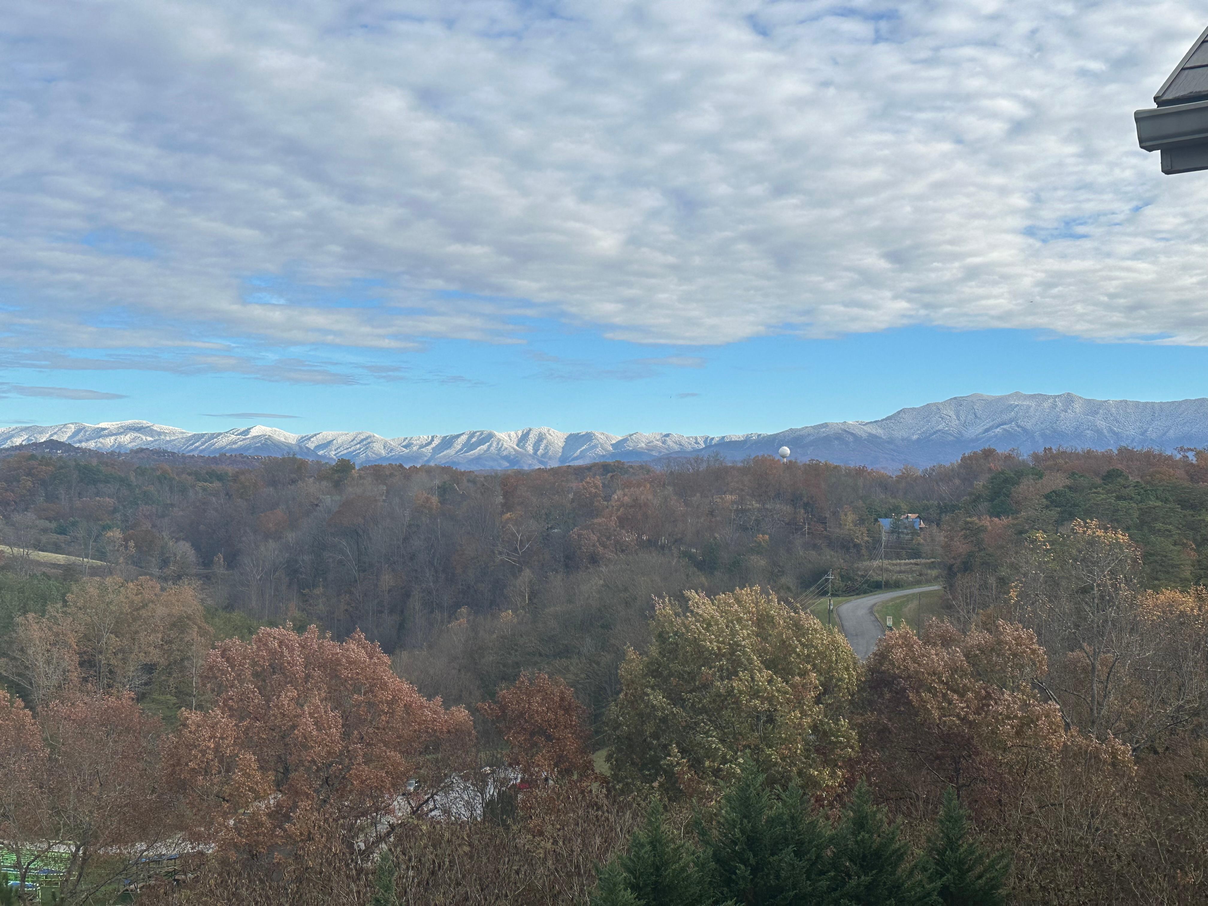 View from back balcony