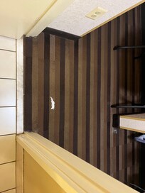 carpet with bath tissue and debris