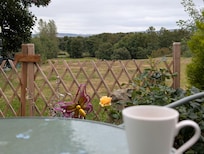 Morning tea on the patio 🩵