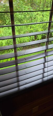 Water coming in from room, poor lighting hard to see extent