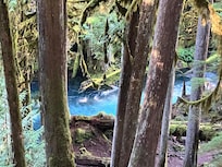 Sahalie Koosah Falls trail