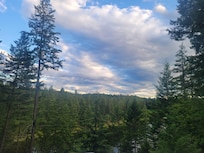 View from deck.
