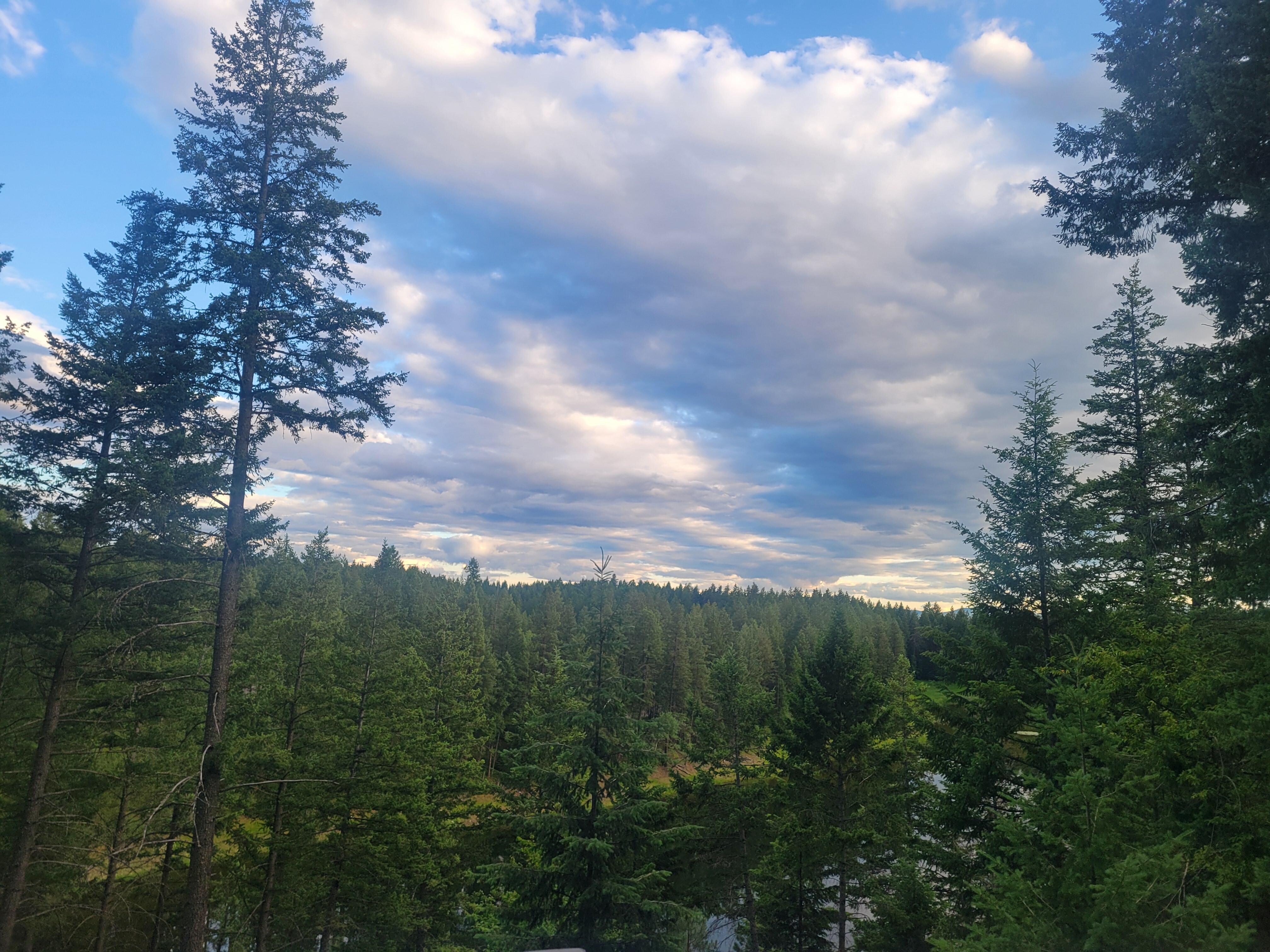 View from deck.