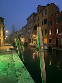 Early morning view of neighborhood.