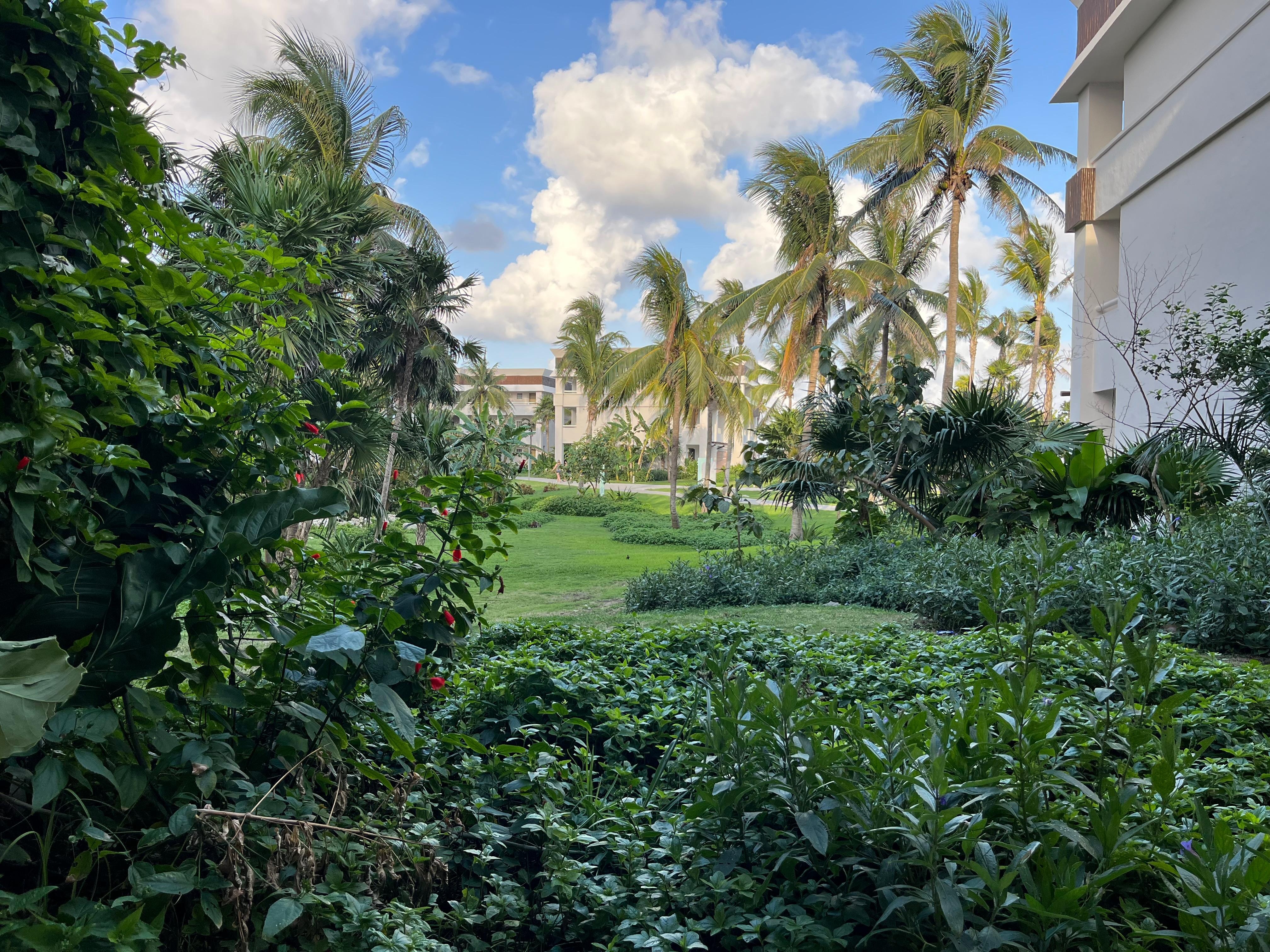 View from our room 