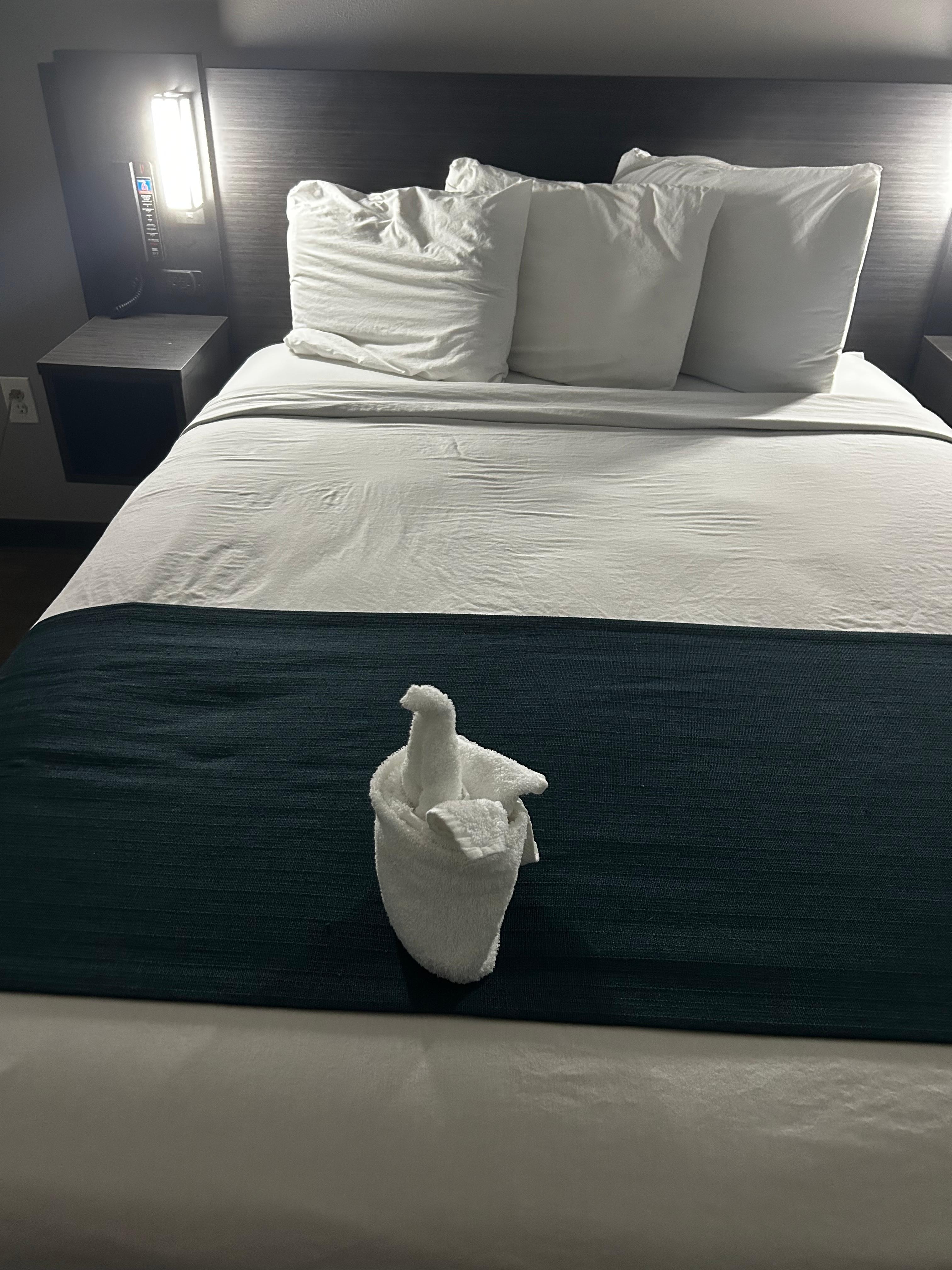 Also stayed in queen room. 