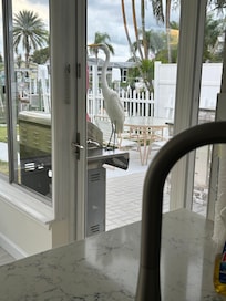 Pet crane sitting on grill