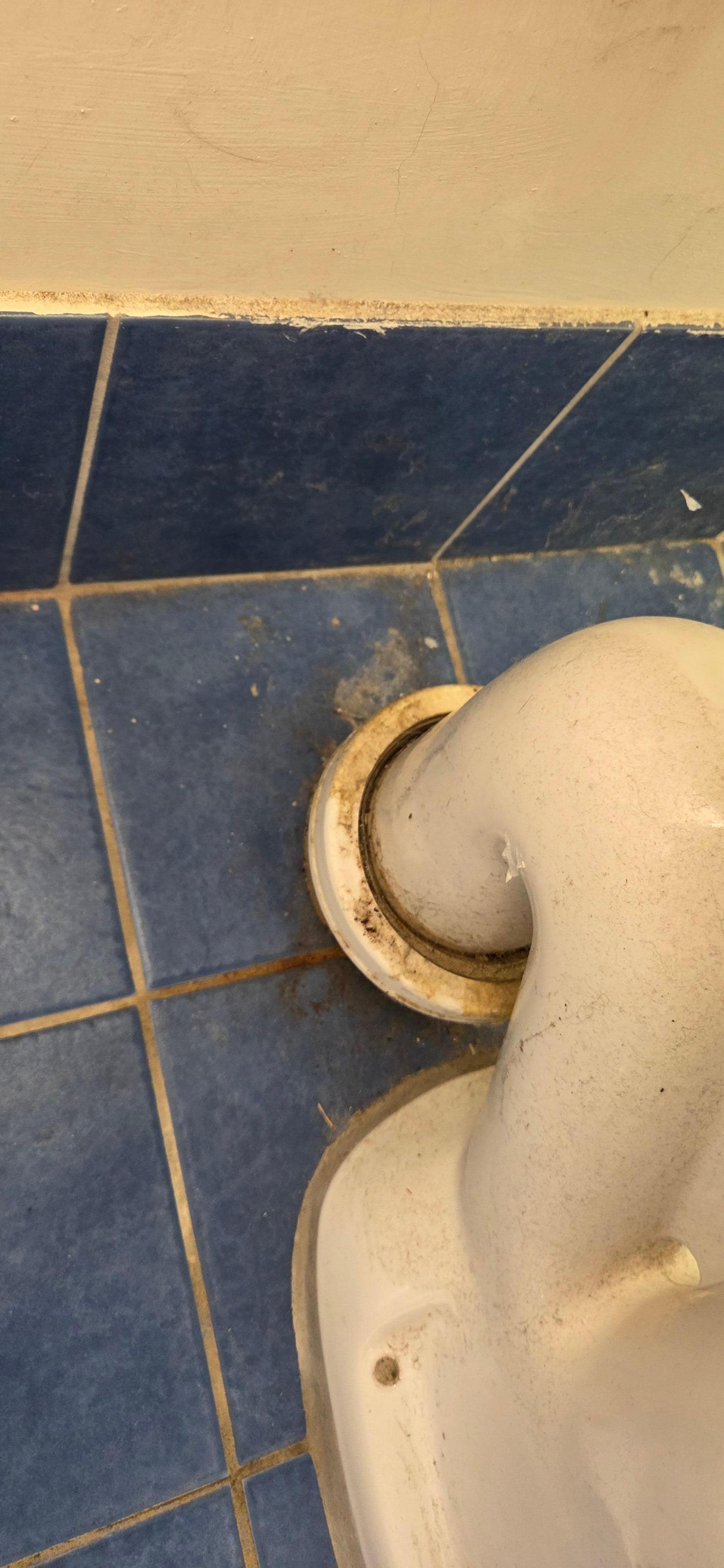 Toilet floors and walls dirty