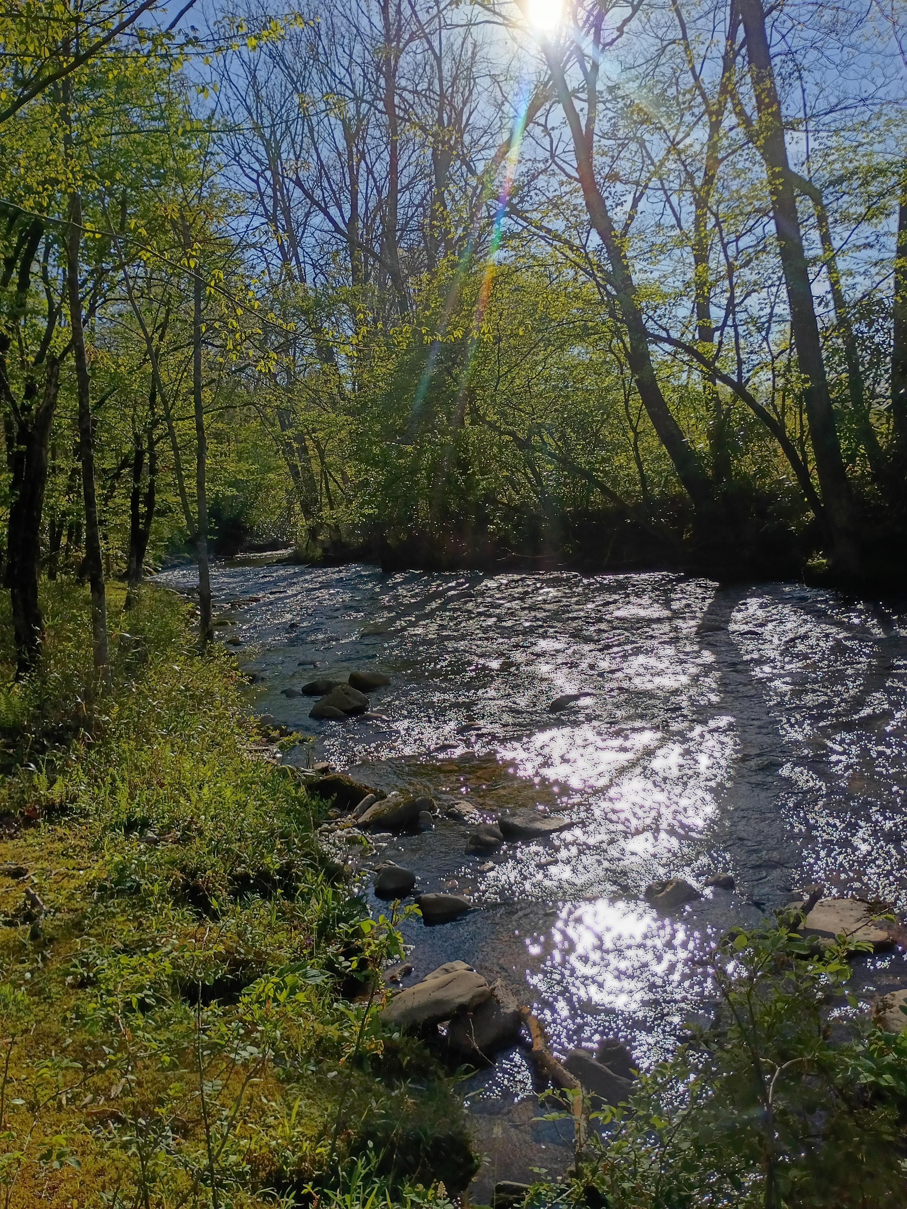 Sunny day on the creek.