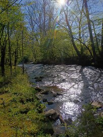 Sunny day on the creek.