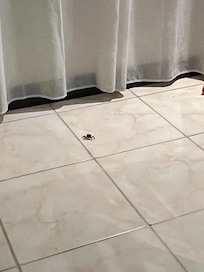 funny unwelcomed party