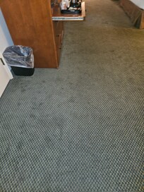Stained carpet throughout thr room.
