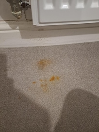 Carpet Stains in bedroom