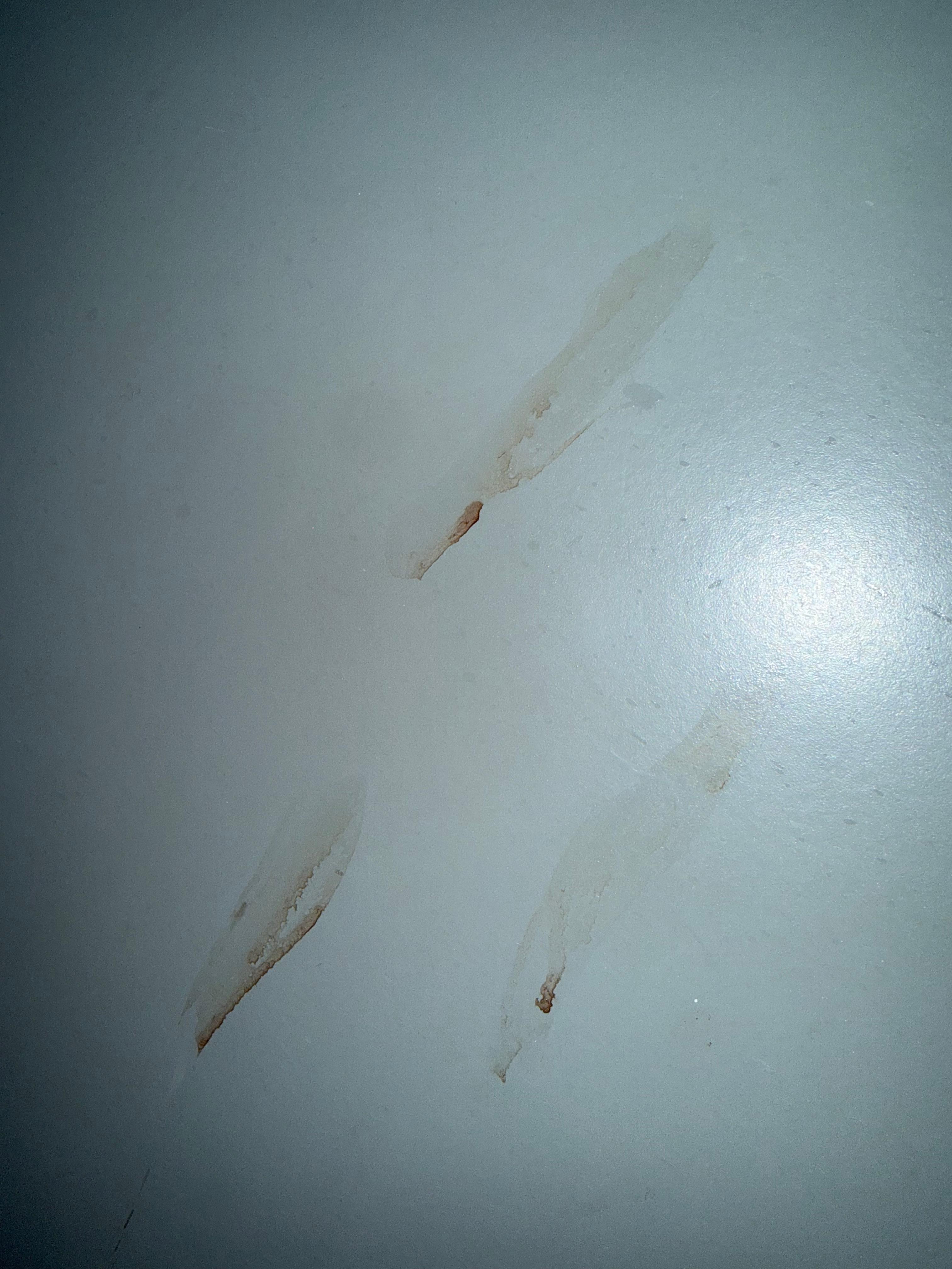 Blood on bathroom door