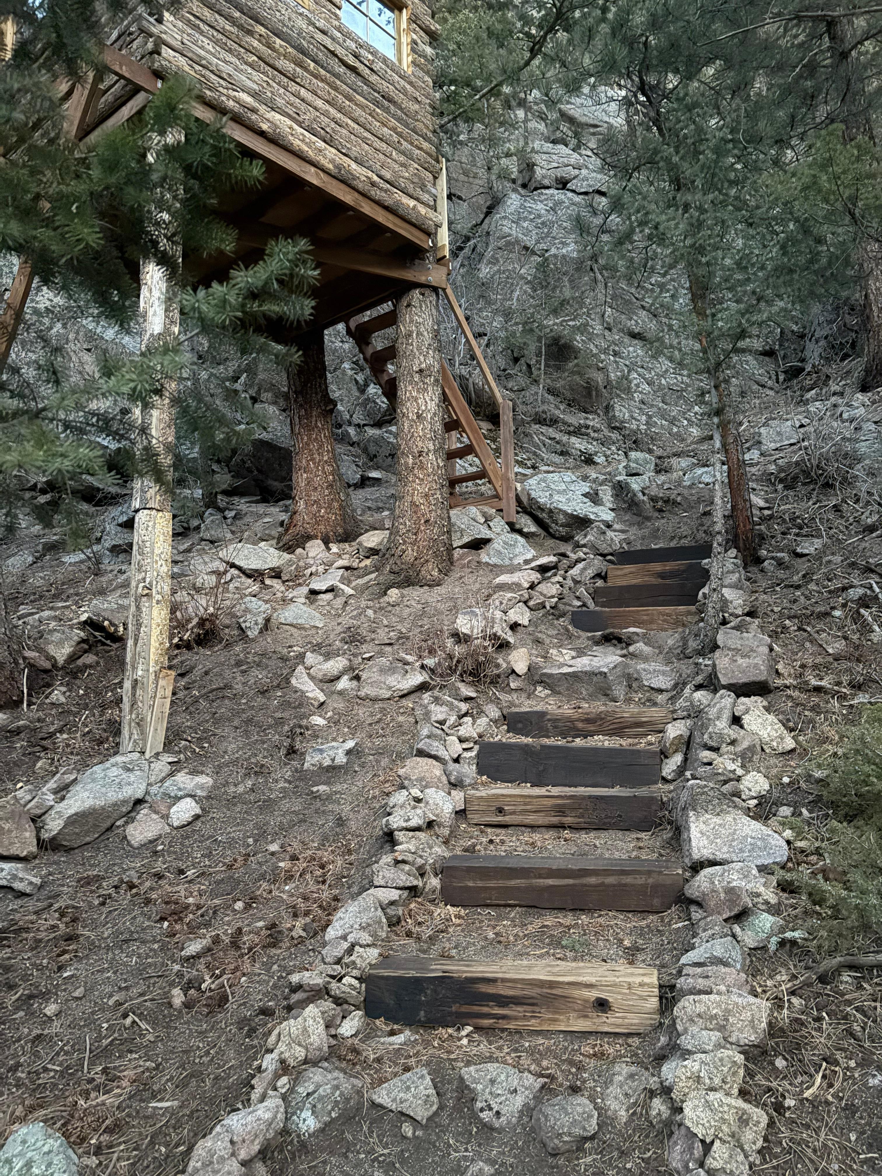 Steps up to treehouse