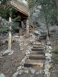 Steps up to treehouse