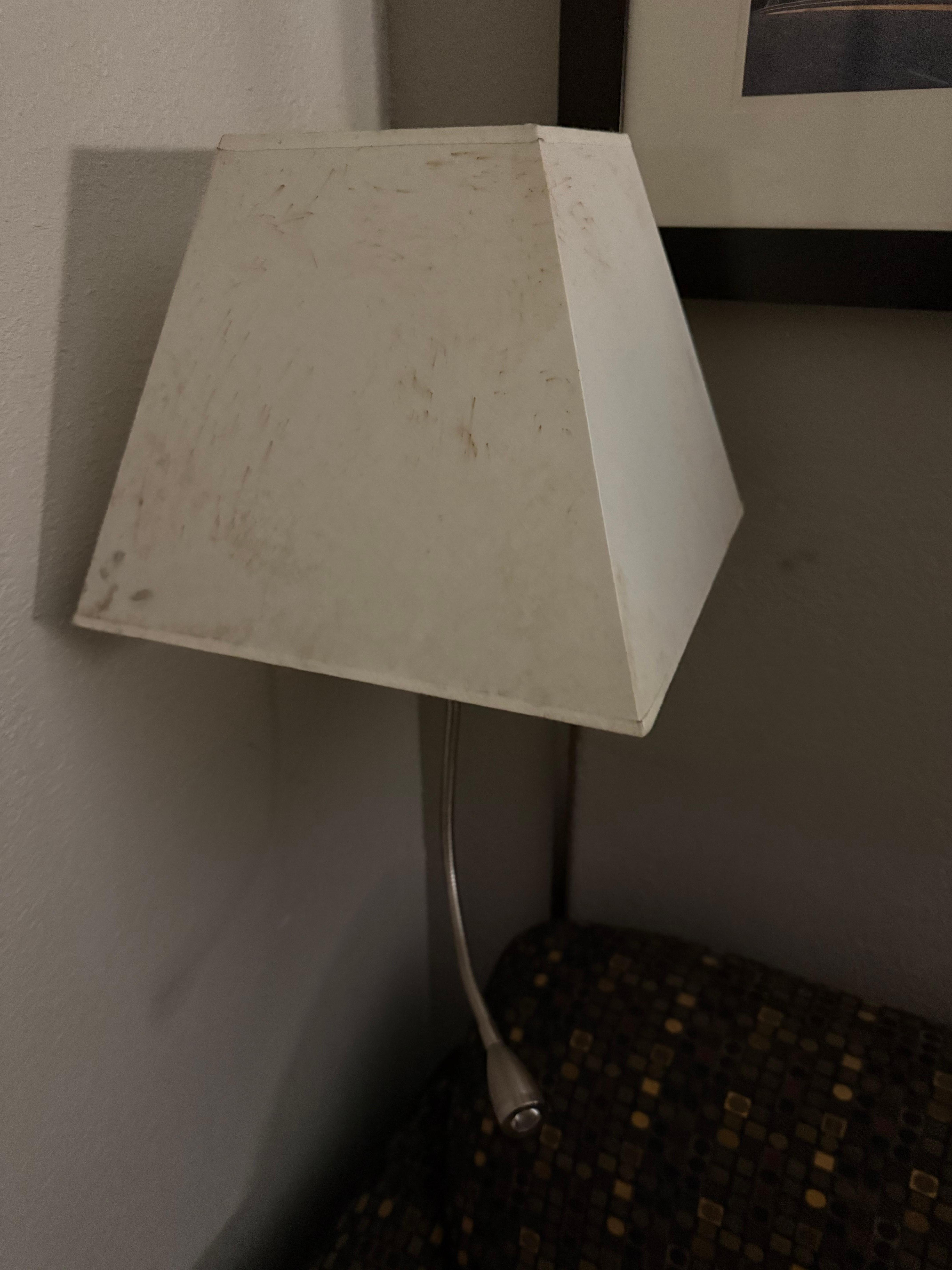 Disgusting lampshade with black stuff on it