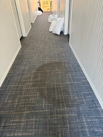 Stained carpet